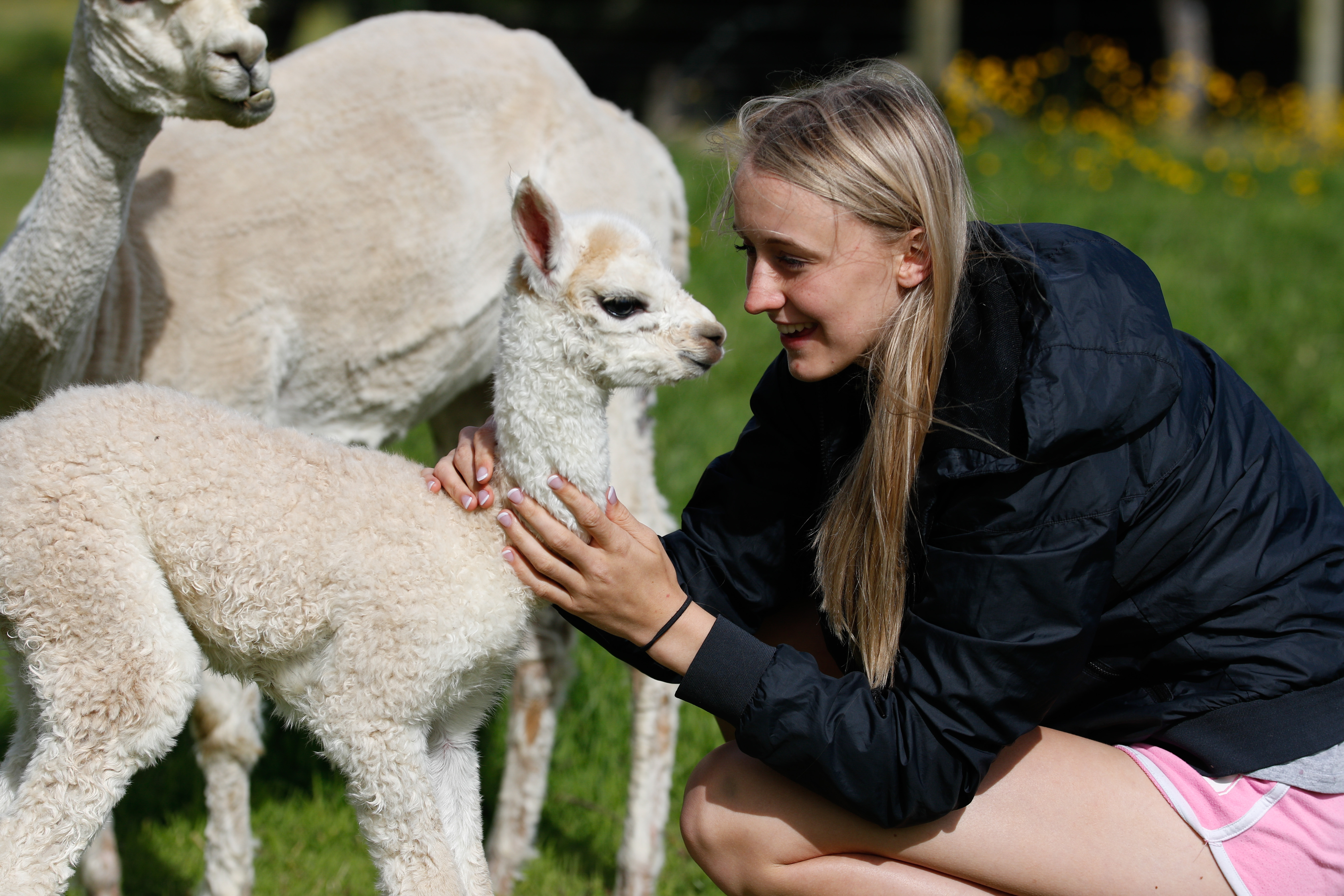  Establo Mozart born 20th Dec 2016 