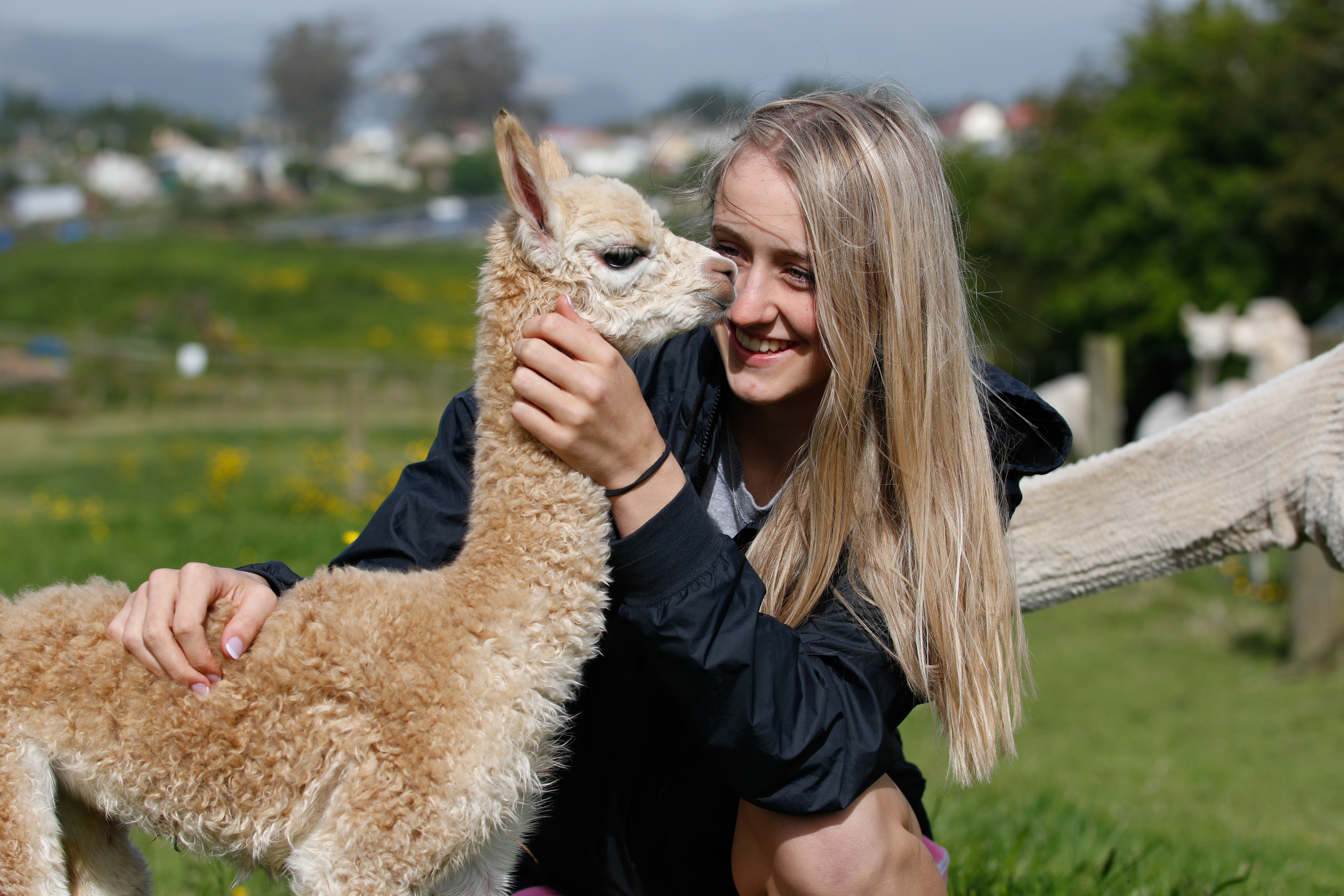  Establo Serena Born 20th Dec 2016 